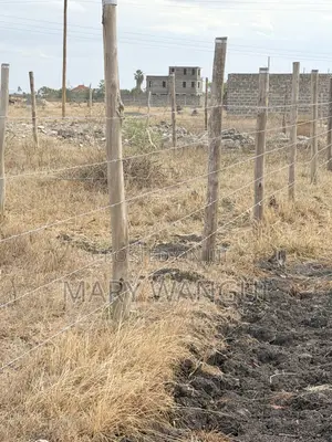 Nine (40 by 80) Plots Juja Farm -Mumba