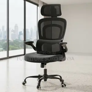 Office Chairs; Orthopedic Fabric Seat With Dual Backrest