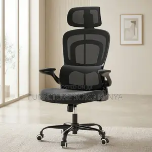 Office Chairs; Orthopedic Fabric Seat With Dual Backrest