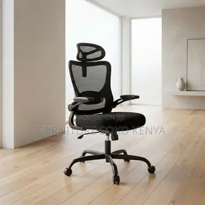 Office Chairs; Orthopedic Fabric Seat With Dual Backrest
