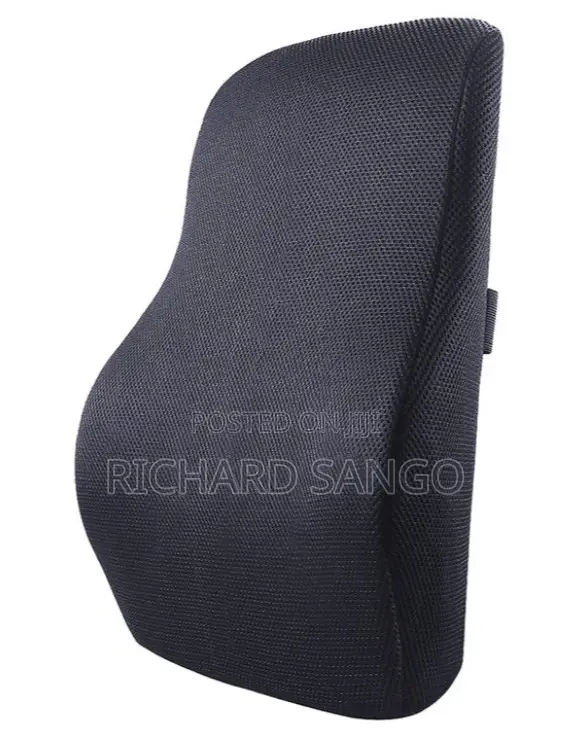 Orthopedic Ergonomic Back Support
