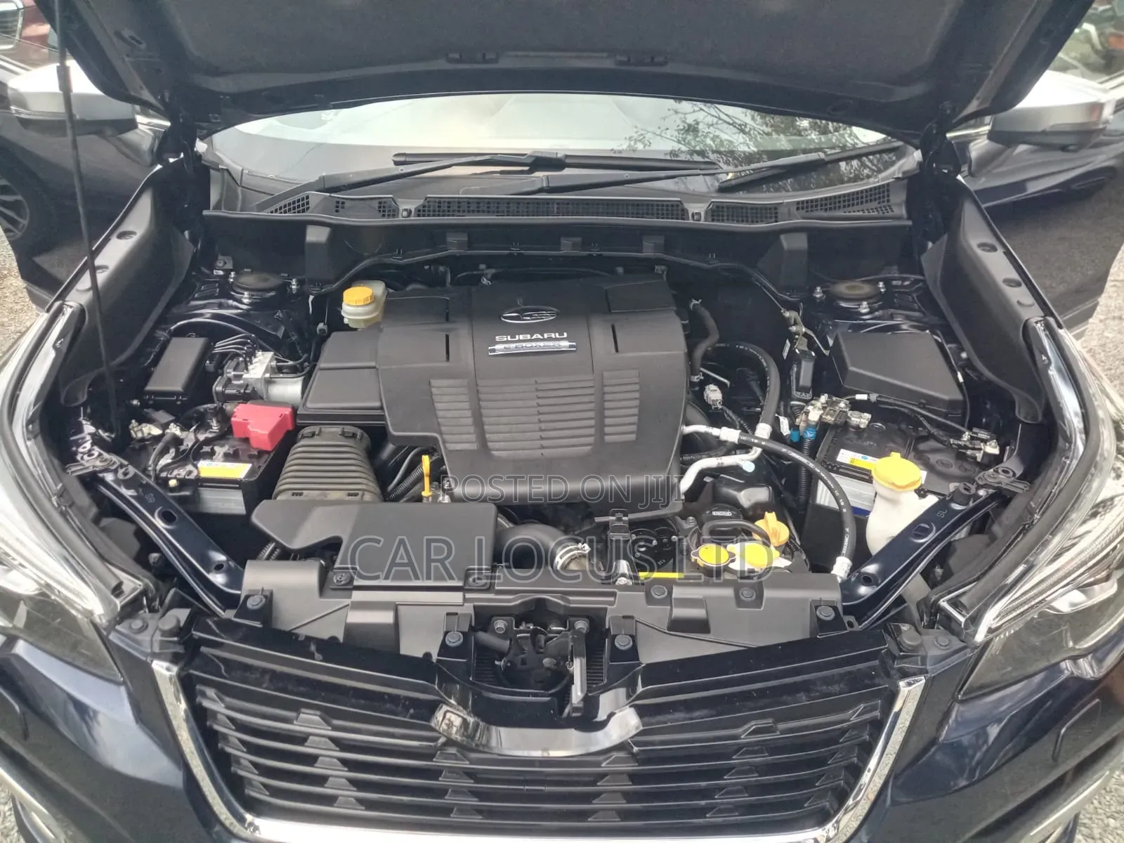 Subaru Forester 2019 Blue