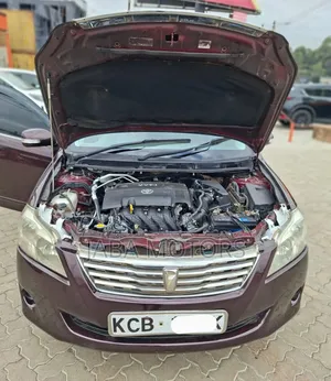 Toyota Premio 2009 Maroon