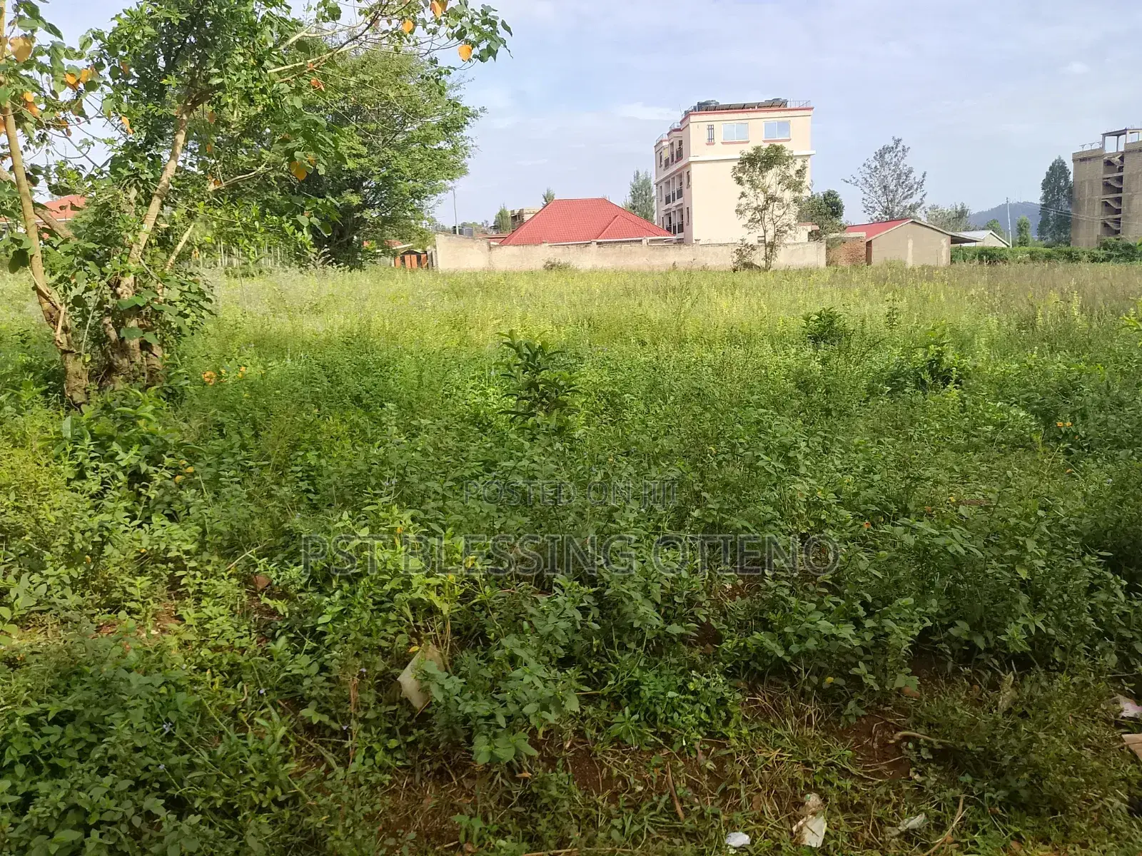 Plot 50 by 100, 800k,--100by 100, 2.1m