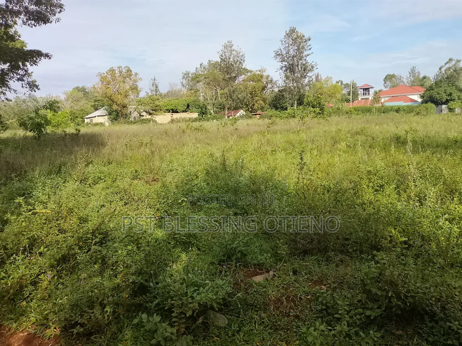 Plot 50 by 100, 800k,--100by 100, 2.1m