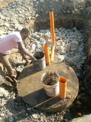 Biodegeder Construction by Brain