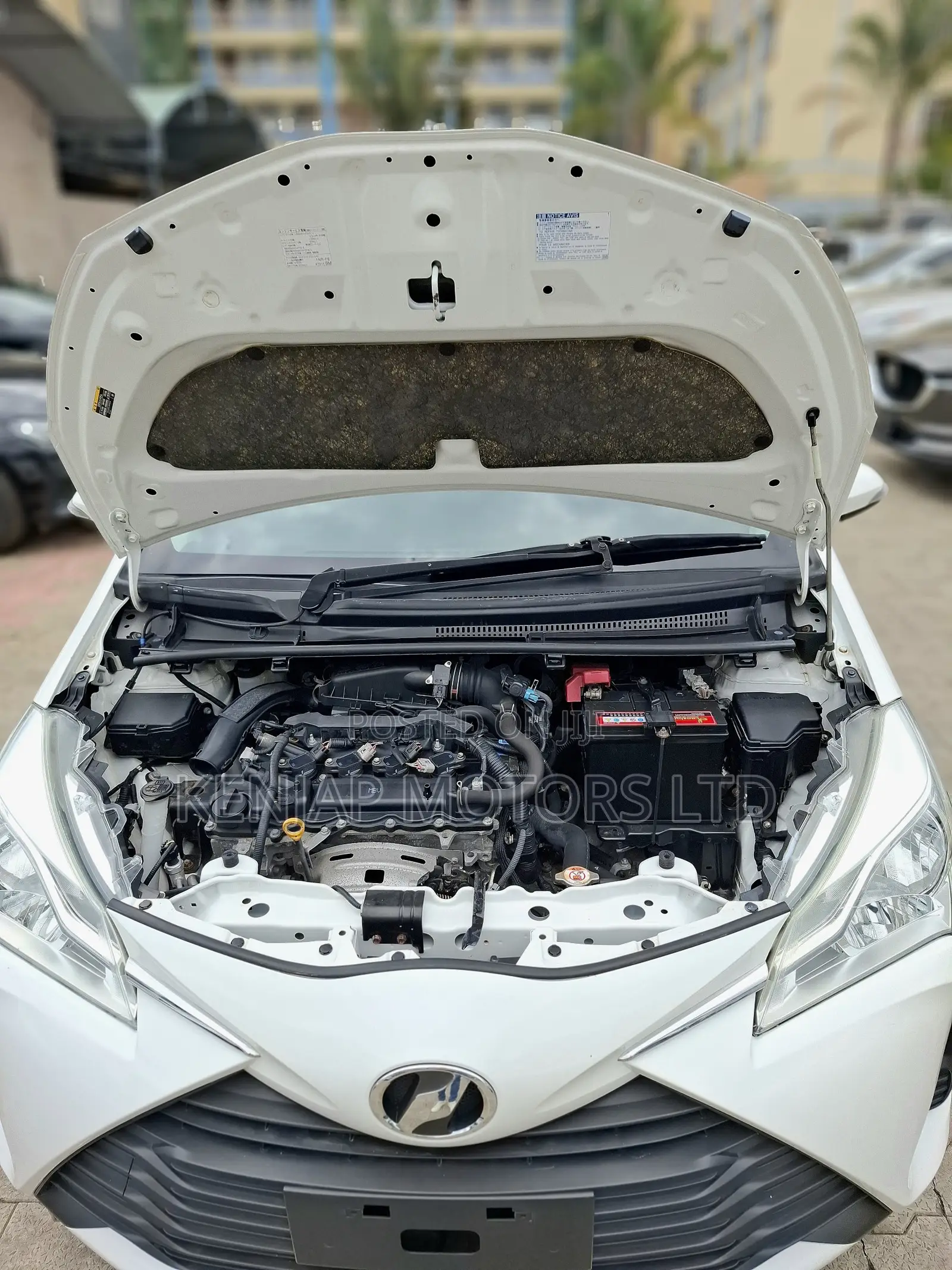 Toyota Vitz 1.3 AWD 5dr 2019 White