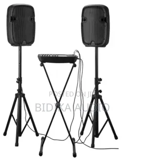 Professional Speaker Supplier 10" 2 Way Audio