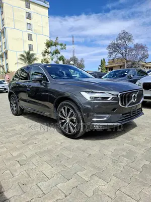 Volvo XC60 2020 Gray