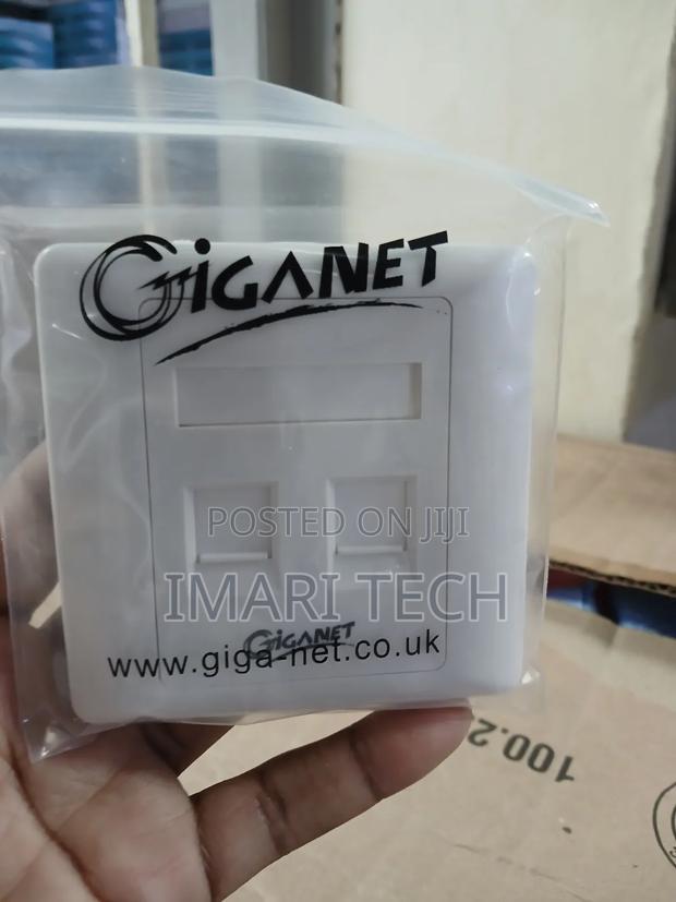 Giganet Dual Faceplates With Modules Cat6e