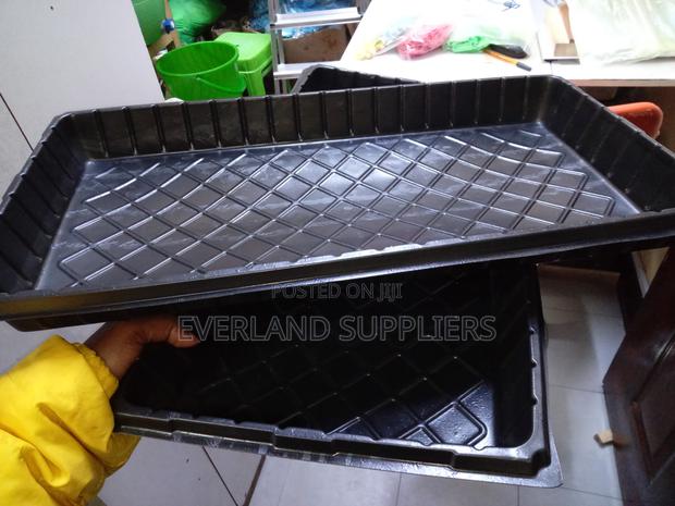 Consistent-Growth Hydroponic Trays - No Holes - main view