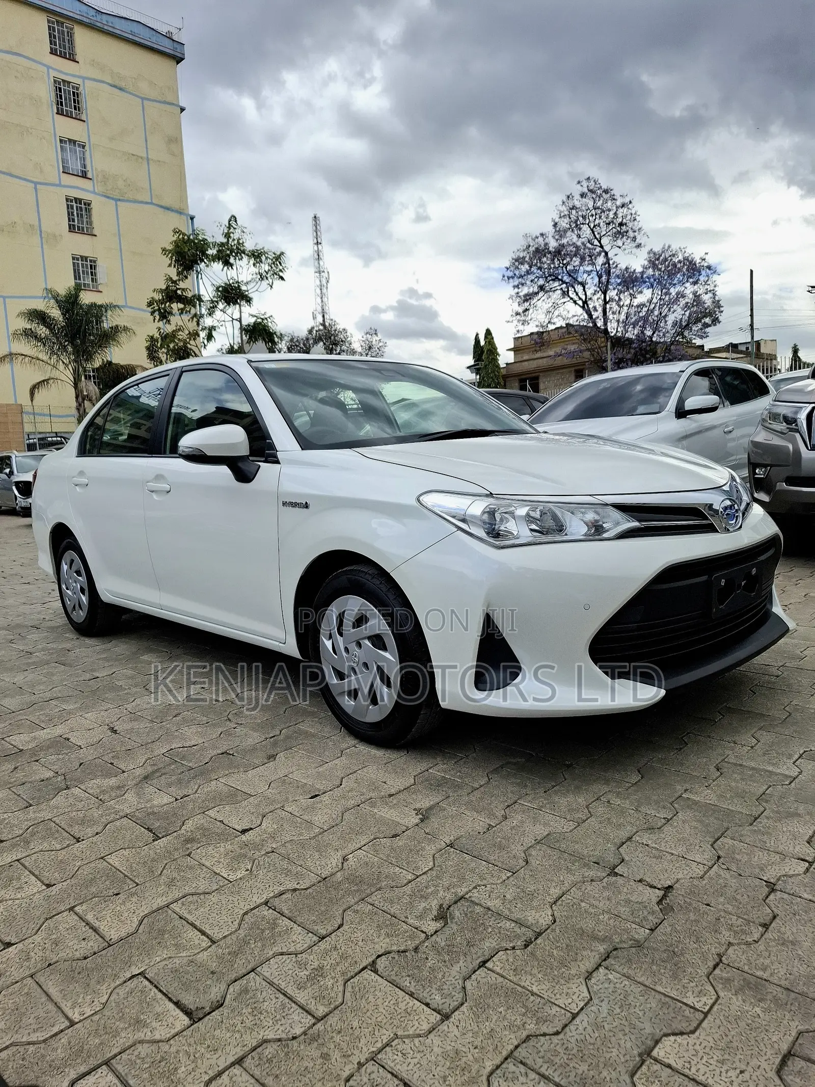 Toyota Axio 2019 Pearl