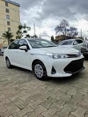 Toyota Axio 2019 Pearl