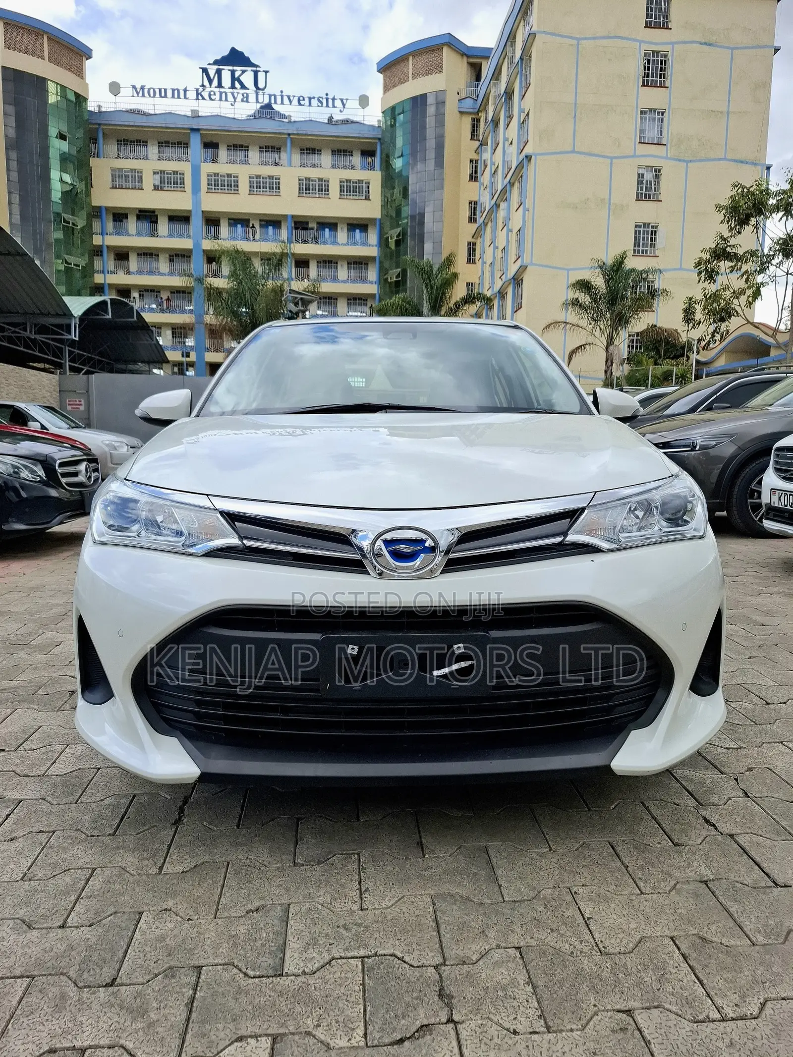 Toyota Axio 2019 Pearl