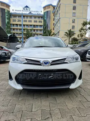 Toyota Axio 2019 Pearl