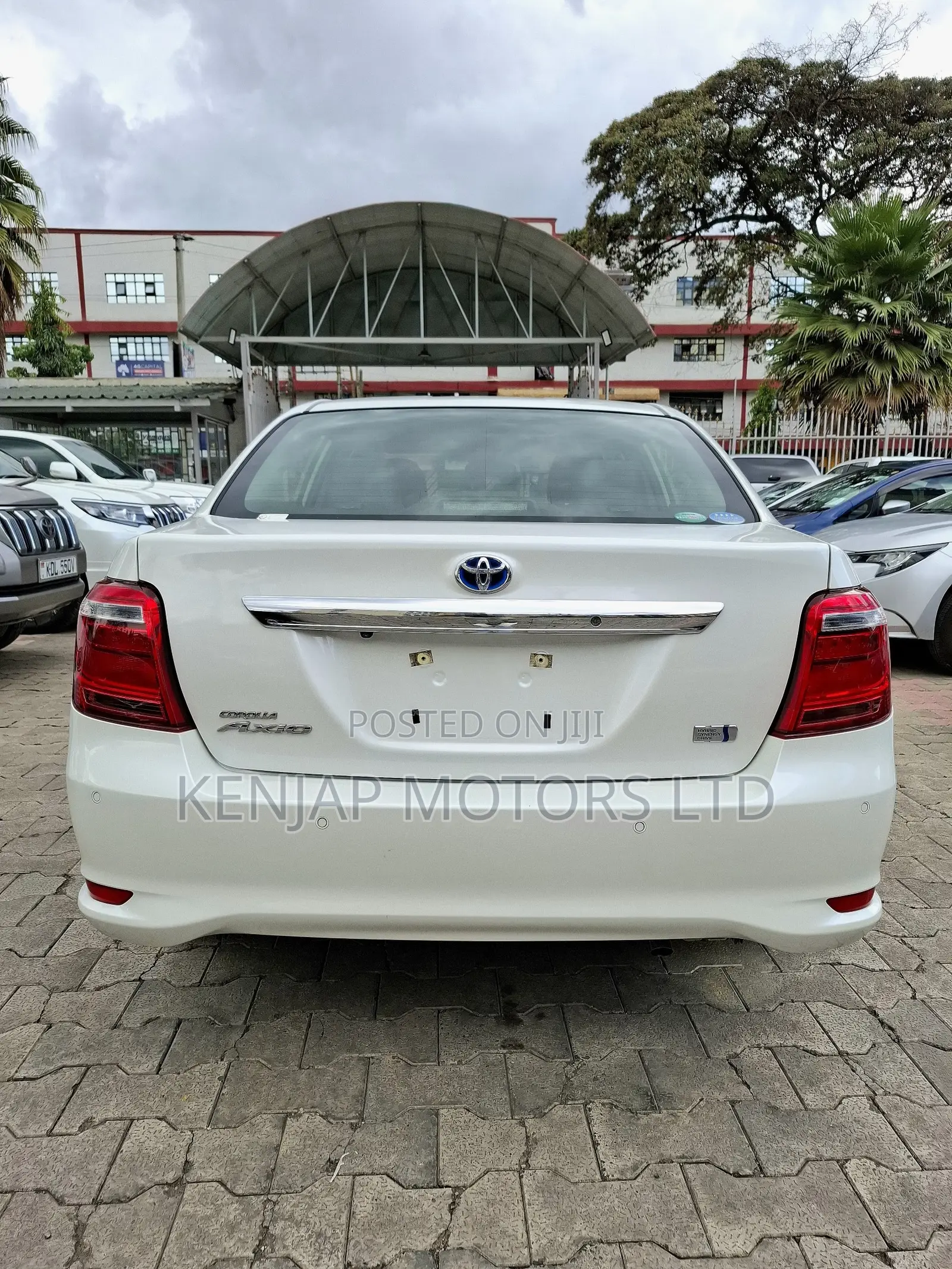 Toyota Axio 2019 Pearl