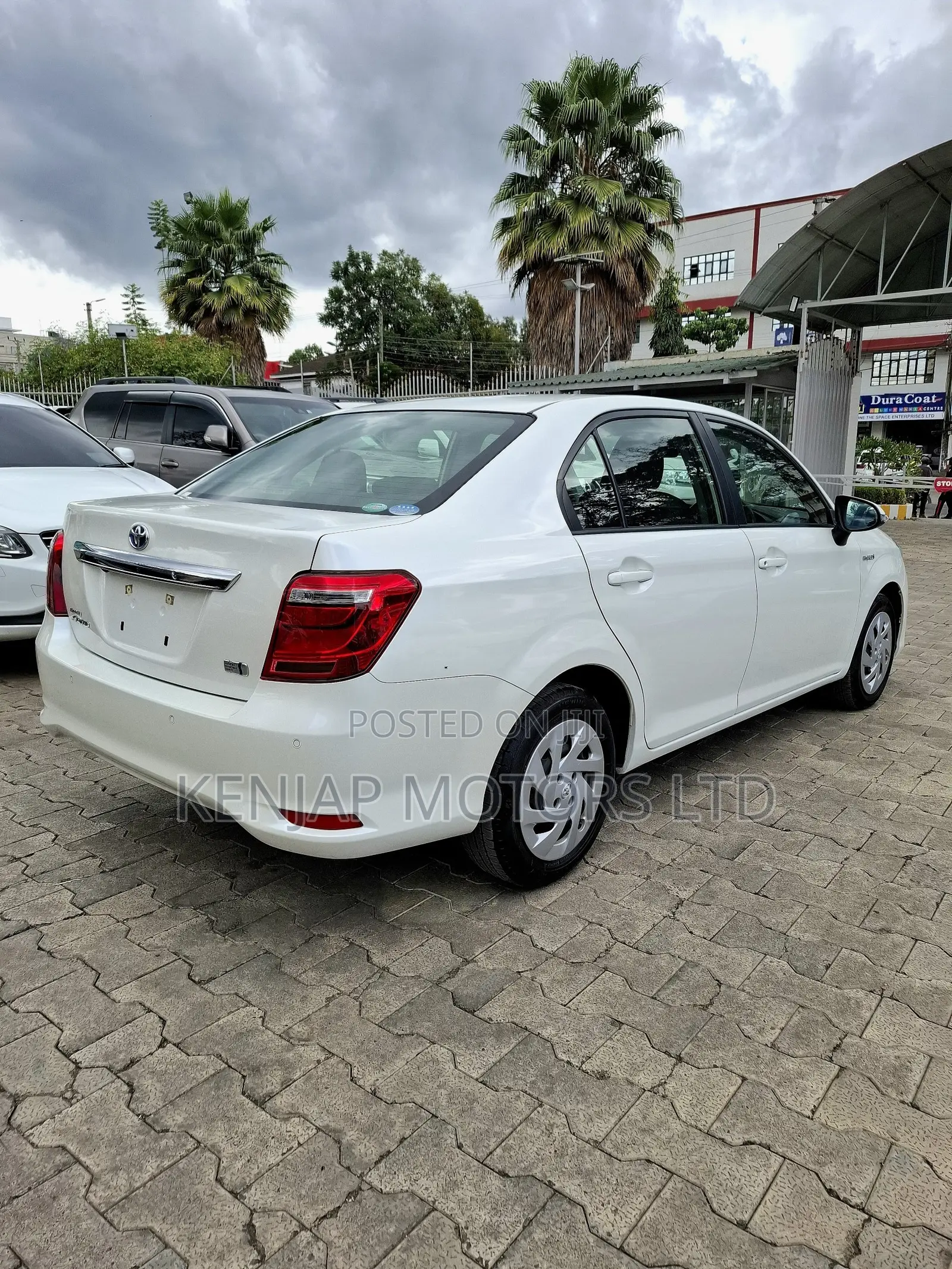 Toyota Axio 2019 Pearl