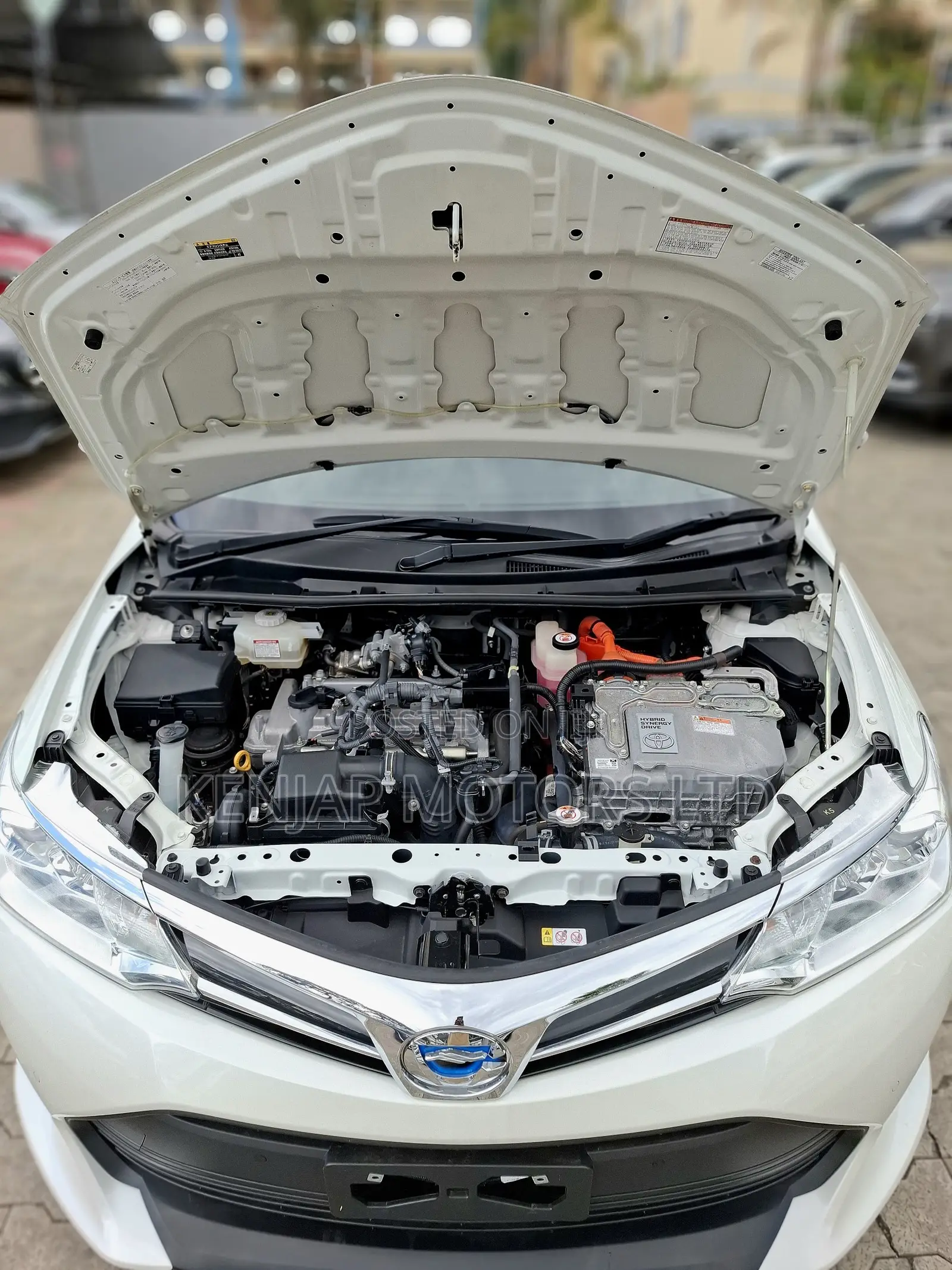 Toyota Axio 2019 Pearl