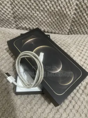 Apple iPhone 12 Pro Max 128 GB Gold