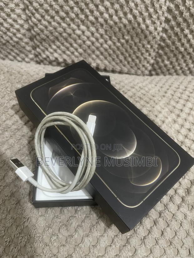 Apple iPhone 12 Pro Max 128 GB Gold - thumbnail 2