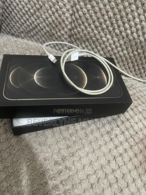 Apple iPhone 12 Pro Max 128 GB Gold