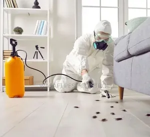 Pest Control Services