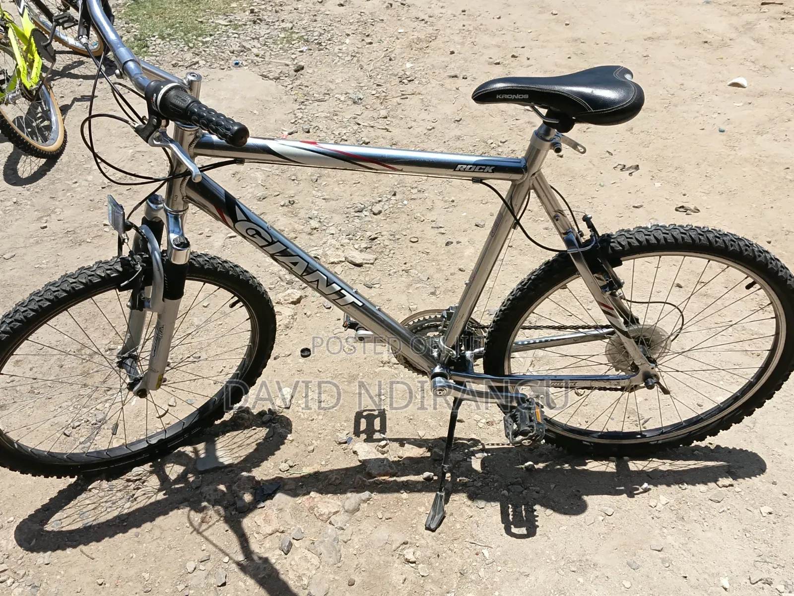 Giant Bike