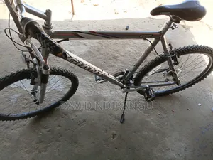 Giant Bike