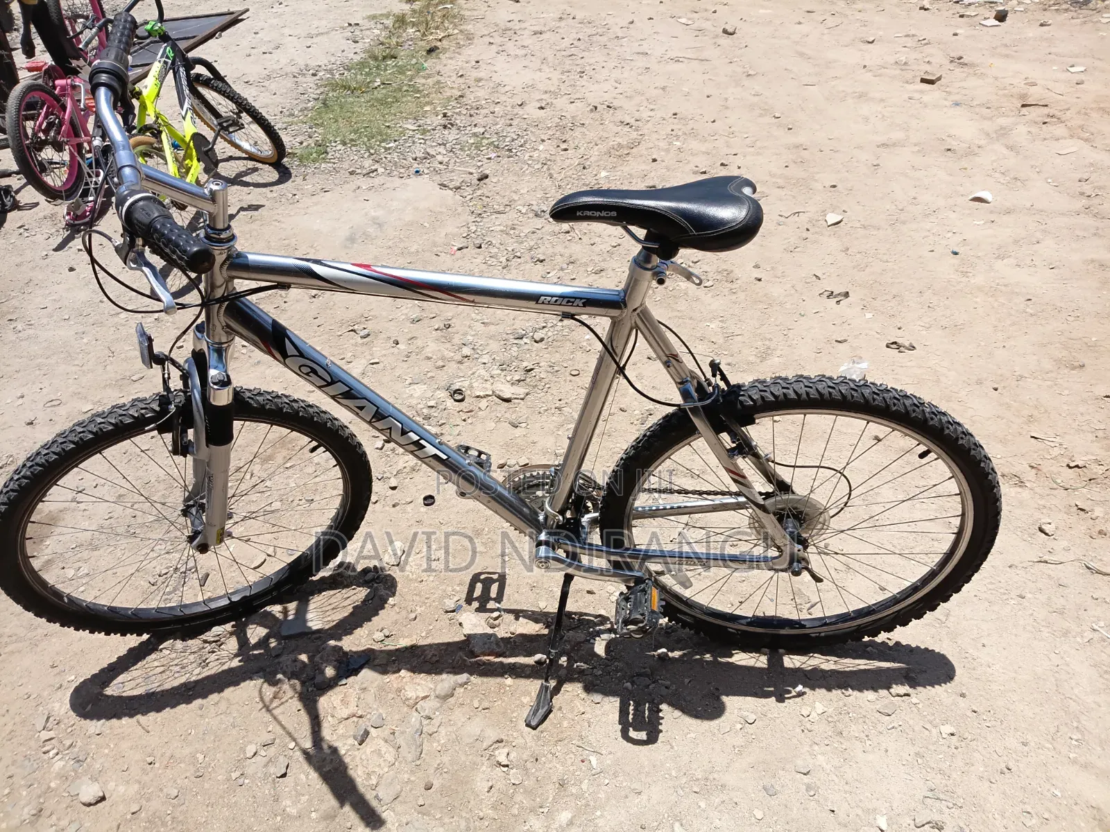 Giant Bike