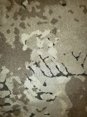 8.2ft by 11ft Carpet