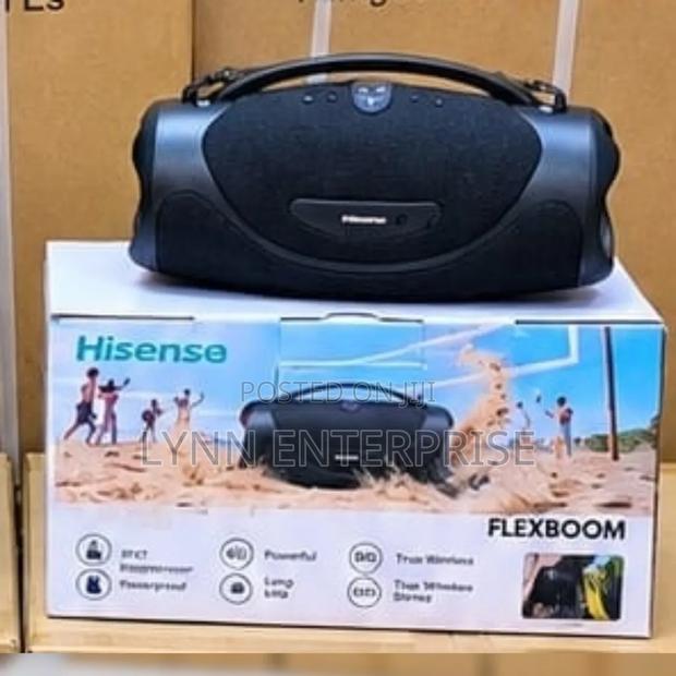 Portable Flexboom Hisense Speaker - main view