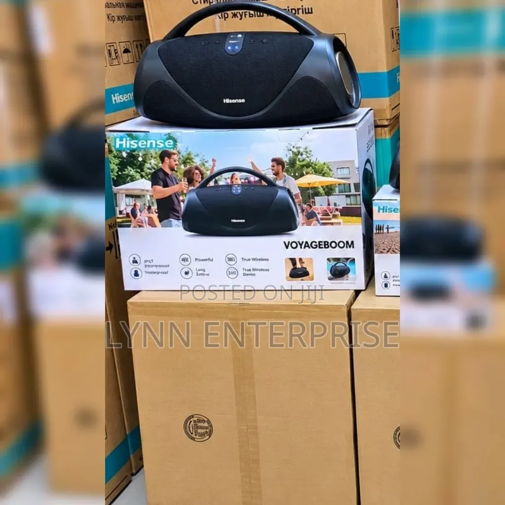 Portable Voyageboom Hisense Speaker.