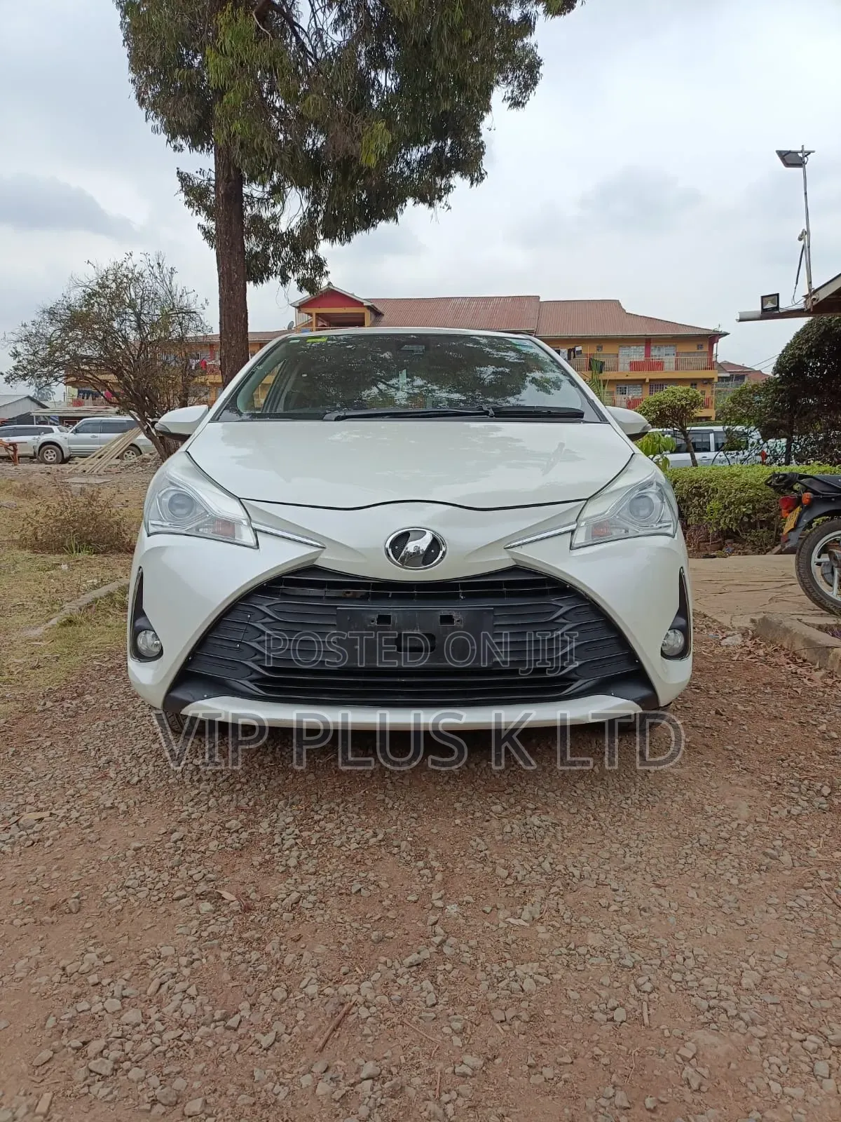 Toyota Vitz 2019 White