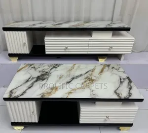 Luxury Coffee Table & TV