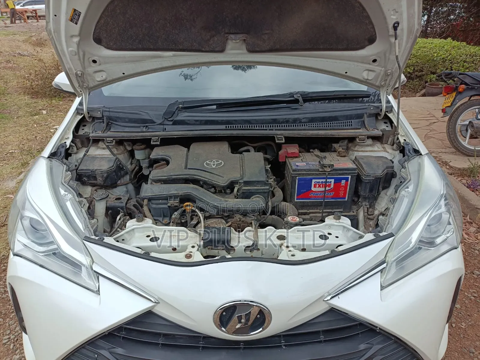 Toyota Vitz 2019 White
