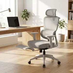 Office Chair : White & Grey Ergonomic Chair With Retractable Footrest