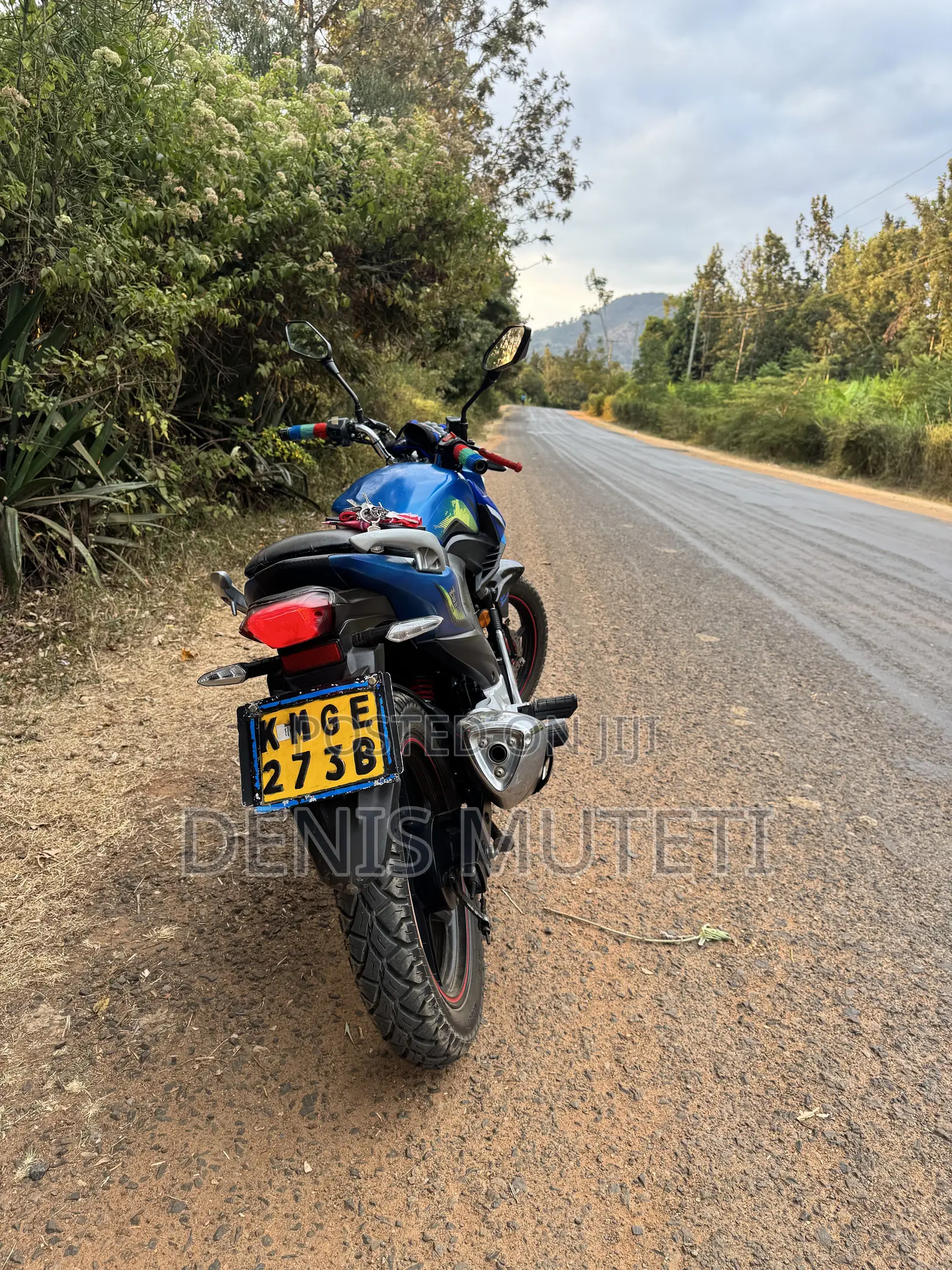 Haojin Evo II 2020 Blue