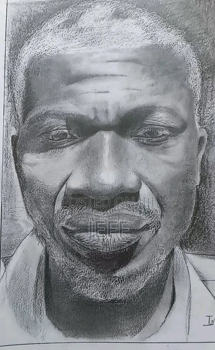 Custom Hand Drawn Pencil Portrait (A4,a3,a2)