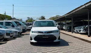 Toyota Corolla 2019 White