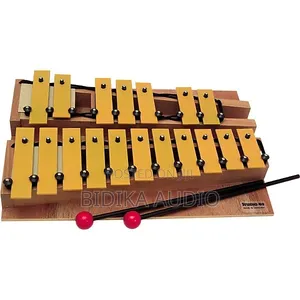 New Xylophone Instrument