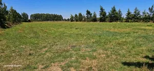 Plots for Sale in Eldoret