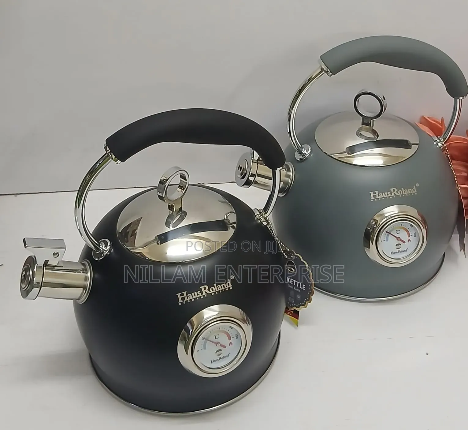 Whistling Stainless Steel Kettle With Thermometer*