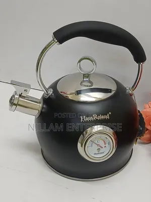 Whistling Stainless Steel Kettle With Thermometer*