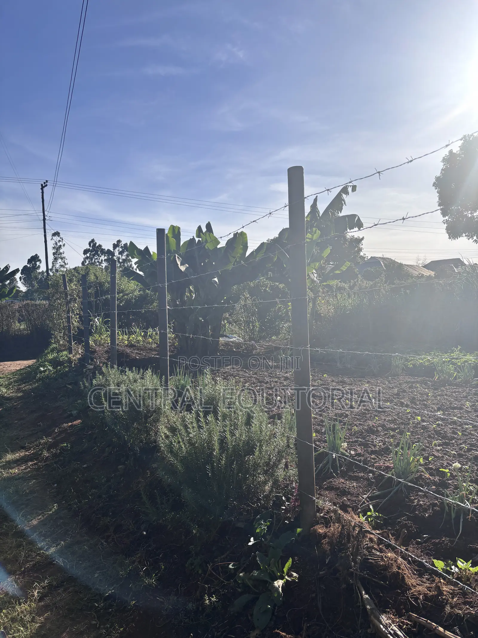 Plastic Fencing Post