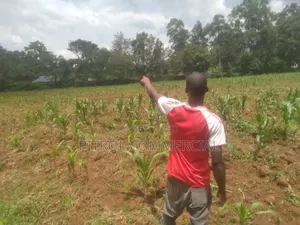 Land 3 Acres of Land by Pitrol