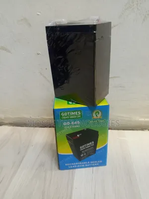 GDTIMES 6V 4Ah Sealed Lead-Acid Battery