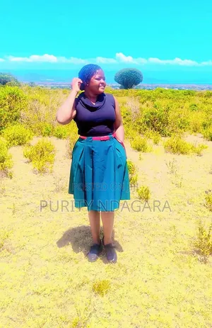 Sales and Marketing Agent