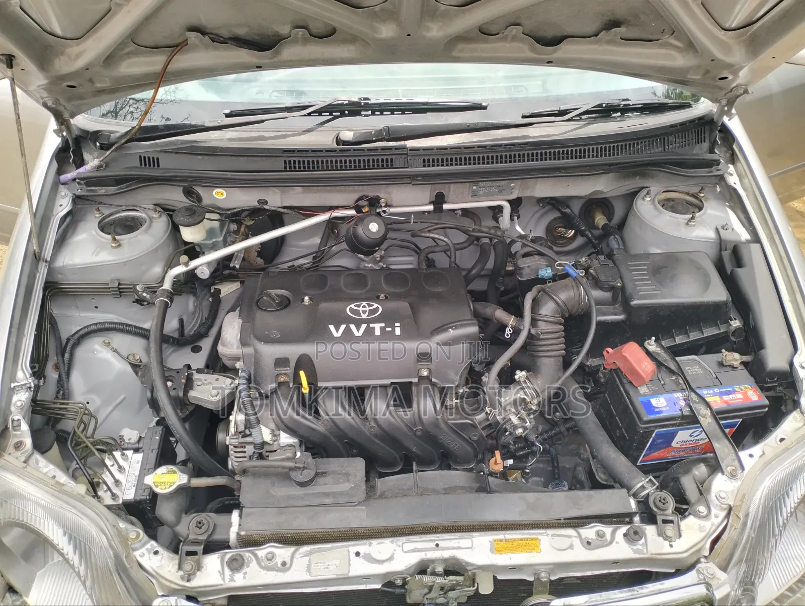 Toyota Corolla 2005 White