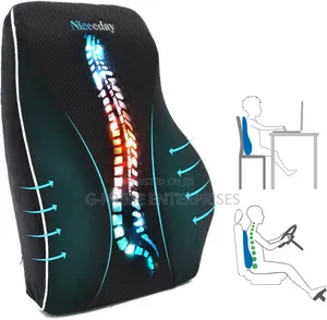 Lumbar Support Pillow for Office Chair
