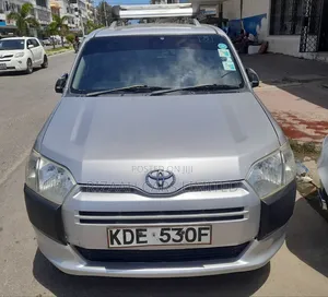 Toyota Probox 1.5 F 2WD 2015 Silver